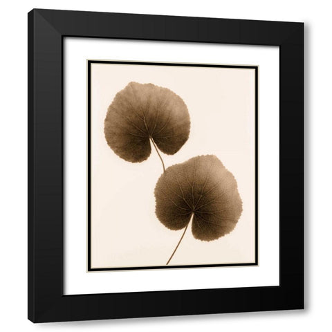 Galax Leaf Black Modern Wood Framed Art Print with Double Matting by Greenwood, Julie