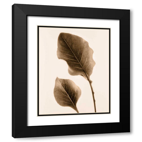 Philodendron Leaf Black Modern Wood Framed Art Print with Double Matting by Greenwood, Julie