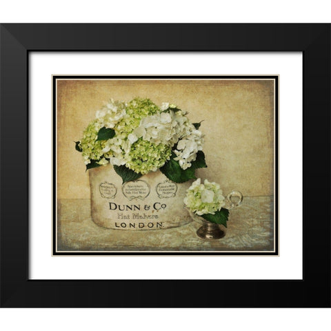 London Hydrangea Black Modern Wood Framed Art Print with Double Matting by Atria, Cristin