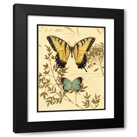 Natures Curiosities 6 Black Modern Wood Framed Art Print with Double Matting by Barrett, Chad