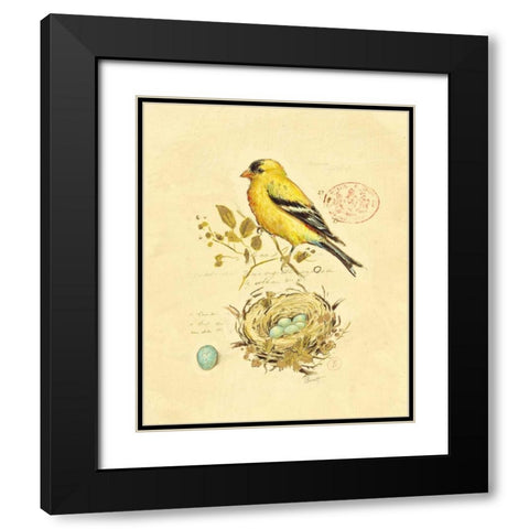 Gilded Songbird 2 Black Modern Wood Framed Art Print with Double Matting by Barrett, Chad