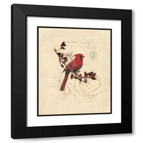 Filigree Cardinal Black Modern Wood Framed Art Print with Double Matting by Barrett, Chad