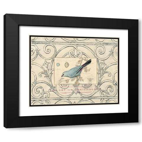 Songbird Etching 2 Black Modern Wood Framed Art Print with Double Matting by Barreett, Chad