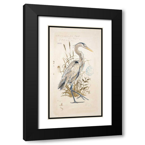 Great Blue Heron Black Modern Wood Framed Art Print with Double Matting by Barrett, Chad