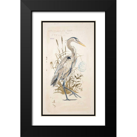 Great Blue Heron Black Modern Wood Framed Art Print with Double Matting by Barrett, Chad