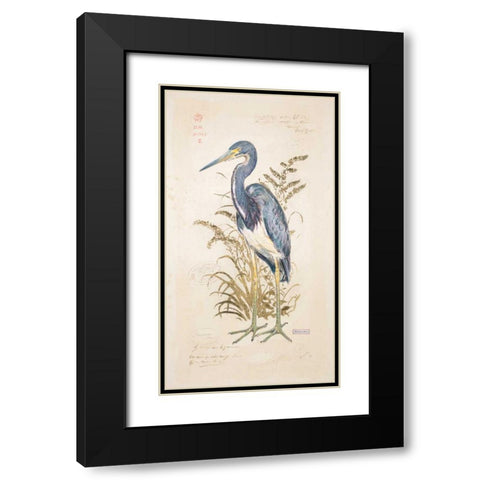 Tricolor Heron Black Modern Wood Framed Art Print with Double Matting by Barrett, Chad