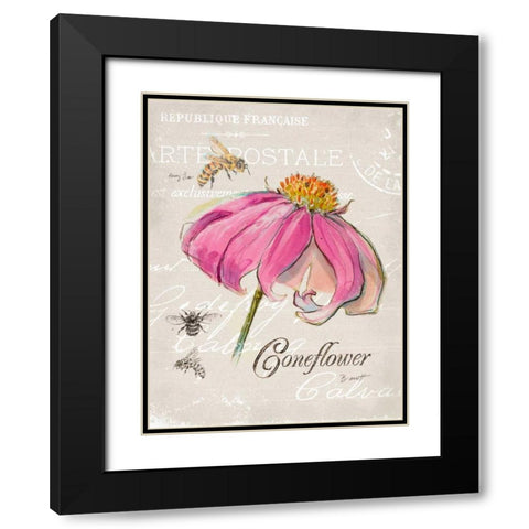 Sketchbook Coneflower  Black Modern Wood Framed Art Print with Double Matting by Barrett, Chad