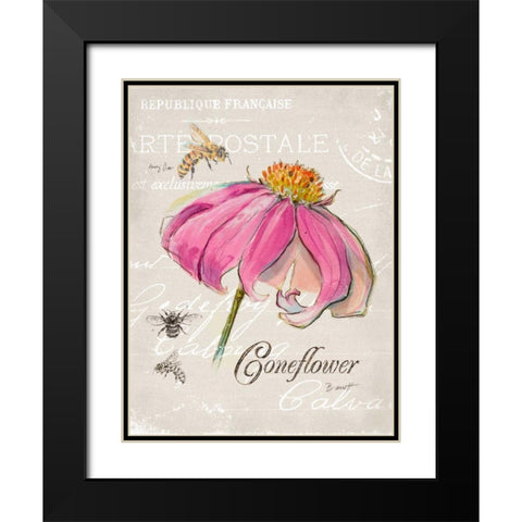Sketchbook Coneflower  Black Modern Wood Framed Art Print with Double Matting by Barrett, Chad
