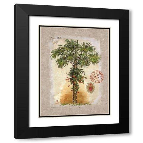Linen Fan Palm Tree Black Modern Wood Framed Art Print with Double Matting by Barrett, Chad