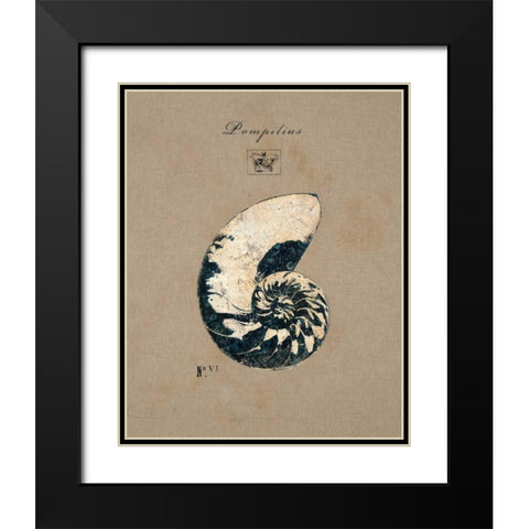 Vintage Linen Nautilus Black Modern Wood Framed Art Print with Double Matting by Regina Andrew Design