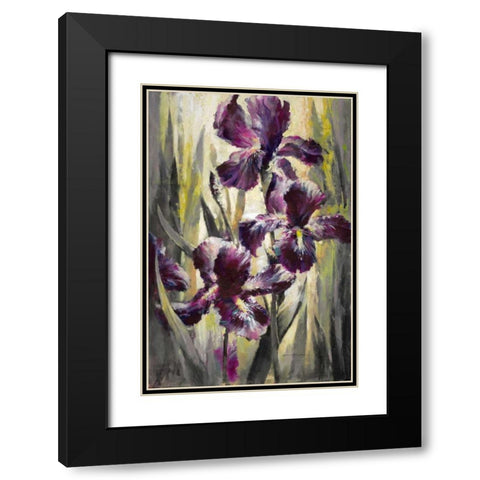 Ambient Iris 1 Black Modern Wood Framed Art Print with Double Matting by Heighton, Brent