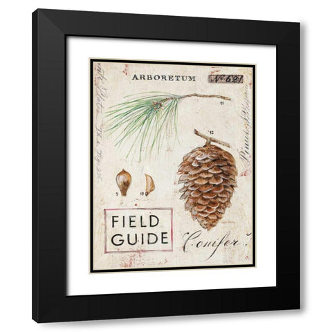 Natures Pinecone Black Modern Wood Framed Art Print with Double Matting by Staehling, Angela