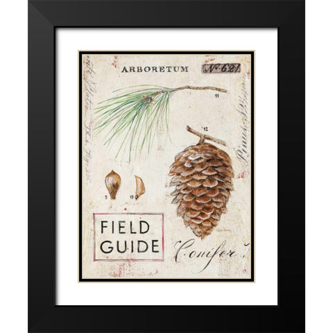 Natures Pinecone Black Modern Wood Framed Art Print with Double Matting by Staehling, Angela