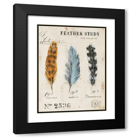 Natures Feathers Black Modern Wood Framed Art Print with Double Matting by Staehling, Angela