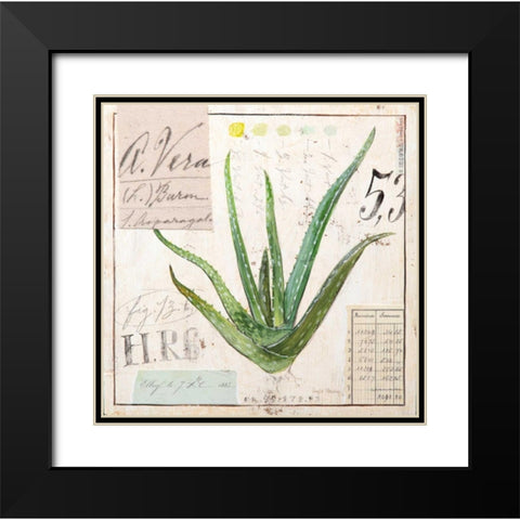 Aloe Vera-Sketchbook Black Modern Wood Framed Art Print with Double Matting by Staehling, Angela