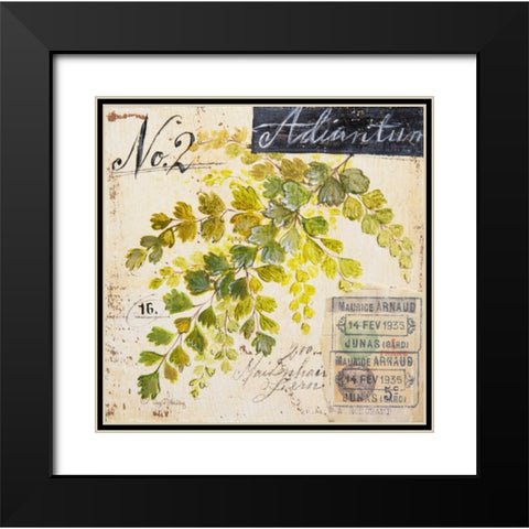 Maidenhair Fern-Sketchbook Black Modern Wood Framed Art Print with Double Matting by Staehling, Angela