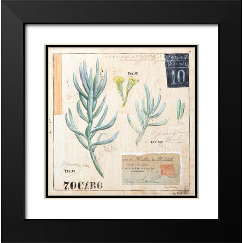 Senecio-Sketchbook Black Modern Wood Framed Art Print with Double Matting by Staehling, Angela