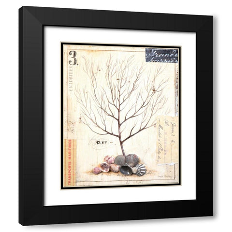 Coral Sketchbook Black Modern Wood Framed Art Print with Double Matting by Staehling, Angela