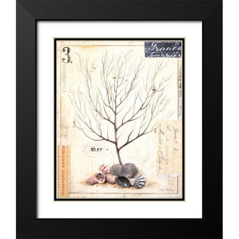 Coral Sketchbook Black Modern Wood Framed Art Print with Double Matting by Staehling, Angela