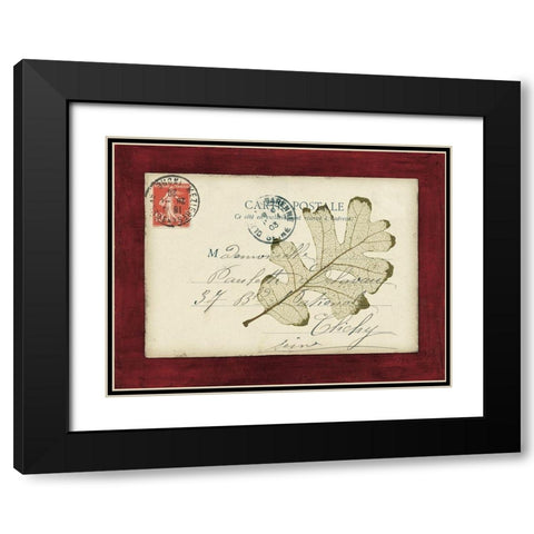 Rose Leaf Envelope Black Modern Wood Framed Art Print with Double Matting by Morey, Booker