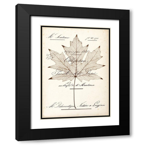 Maple Document Black Modern Wood Framed Art Print with Double Matting by Morey, Booker