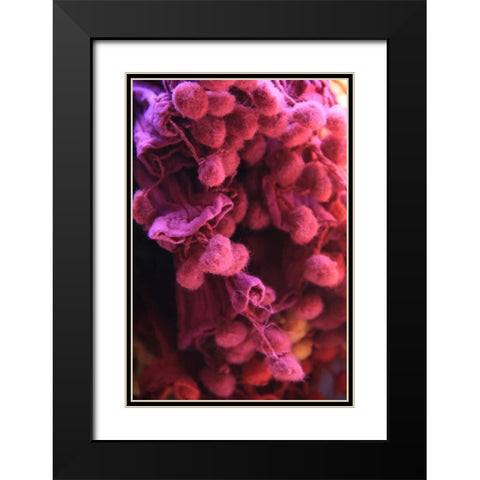 Global Pinks 1 Black Modern Wood Framed Art Print with Double Matting by Rauscher, Michel