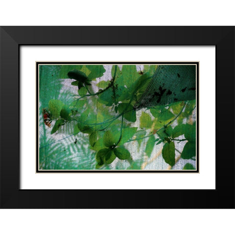 Fresh Green 2 Black Modern Wood Framed Art Print with Double Matting by Rauscher, Michel