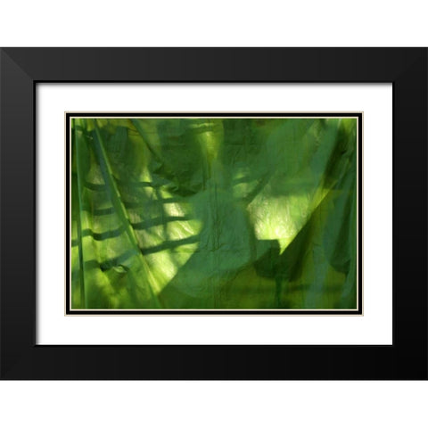 Fresh Green 3 Black Modern Wood Framed Art Print with Double Matting by Rauscher, Michel