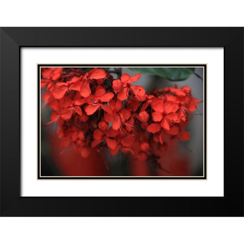 Red Autumn 1 Black Modern Wood Framed Art Print with Double Matting by Rauscher, Michel
