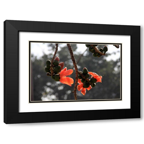 Global Vessel 1 Black Modern Wood Framed Art Print with Double Matting by Rauscher, Michel