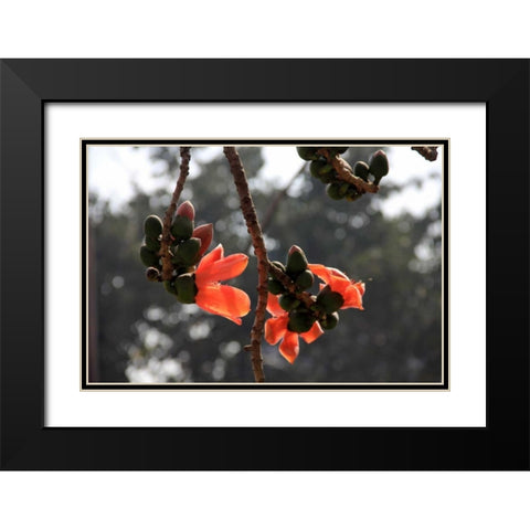 Global Vessel 1 Black Modern Wood Framed Art Print with Double Matting by Rauscher, Michel