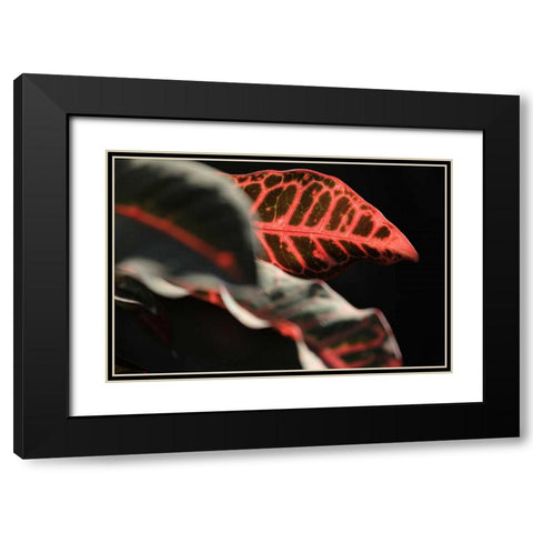 Global Vessel 4 Black Modern Wood Framed Art Print with Double Matting by Rauscher, Michel