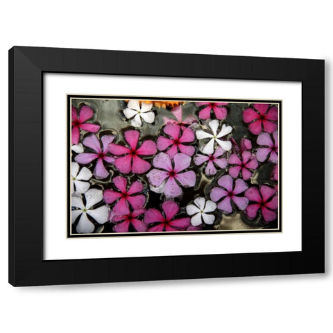Floral Pond 1 Black Modern Wood Framed Art Print with Double Matting by Rauscher, Michel