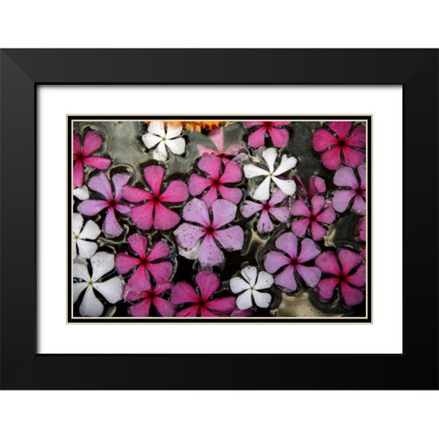 Floral Pond 1 Black Modern Wood Framed Art Print with Double Matting by Rauscher, Michel