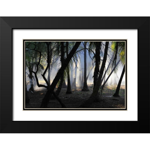 Sunset Enchantment 1 Black Modern Wood Framed Art Print with Double Matting by Rauscher, Michel