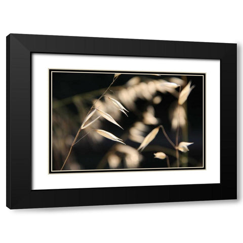 Moonlight Enchantment 3 Black Modern Wood Framed Art Print with Double Matting by Rauscher, Michel