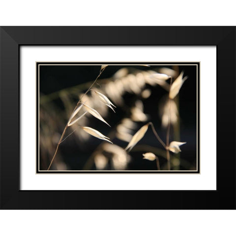 Moonlight Enchantment 3 Black Modern Wood Framed Art Print with Double Matting by Rauscher, Michel