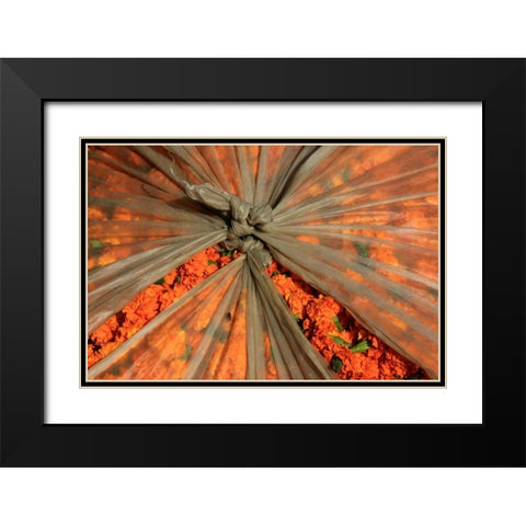 Global Orange 3 Black Modern Wood Framed Art Print with Double Matting by Rauscher, Michel