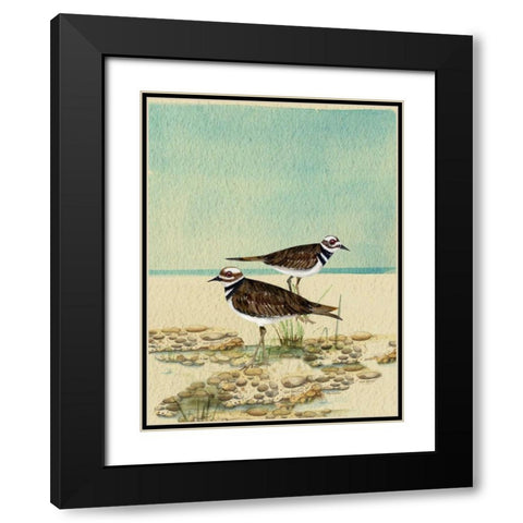 Killdeer By The Sea Black Modern Wood Framed Art Print with Double Matting by Escobedo, Mary