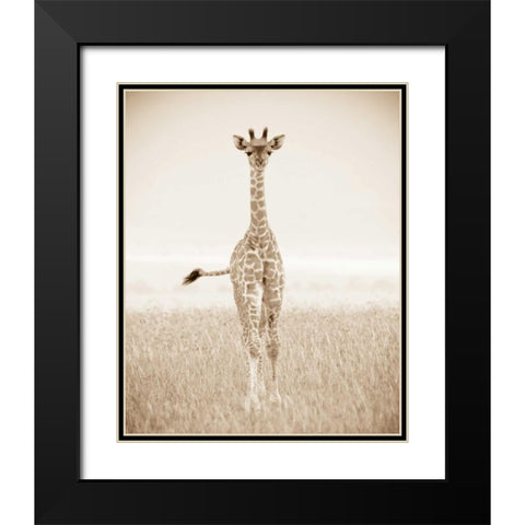 Spirit of Life 2 Black Modern Wood Framed Art Print with Double Matting by Parker Nature Photography, Frank and Susann