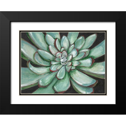 Desert Succulent Black Modern Wood Framed Art Print with Double Matting by Ioco, Filippo