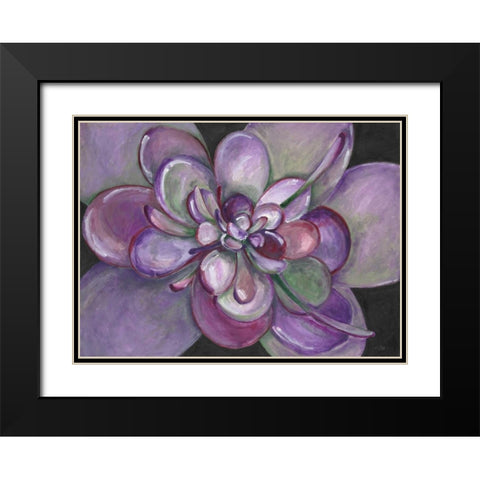 Plum Succulent  Black Modern Wood Framed Art Print with Double Matting by Ioco, Filippo