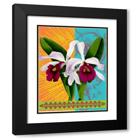 Star Burst Orchid Black Modern Wood Framed Art Print with Double Matting by Robertson, Walter