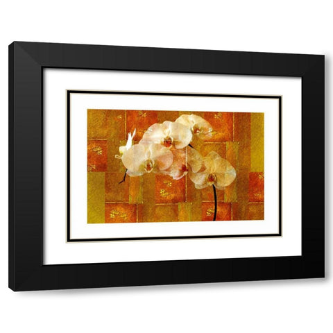 Sheer White Orchid Black Modern Wood Framed Art Print with Double Matting by Robertson, Walter