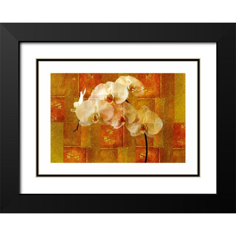 Sheer White Orchid Black Modern Wood Framed Art Print with Double Matting by Robertson, Walter