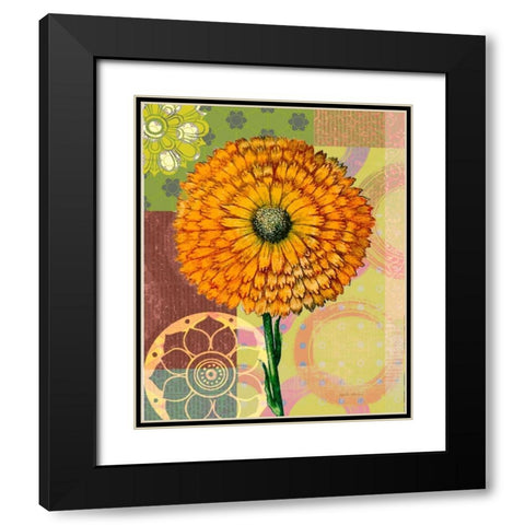 Zinnia Story Black Modern Wood Framed Art Print with Double Matting by Robertson, Walter