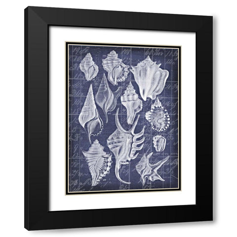 Shell Life 1 Black Modern Wood Framed Art Print with Double Matting by Robertson, Walter