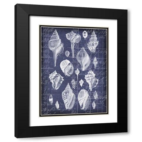 Shell Life 2 Black Modern Wood Framed Art Print with Double Matting by Robertson, Walter