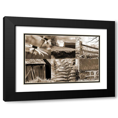 Roadside Beauty Black Modern Wood Framed Art Print with Double Matting by Amber Light Gallery