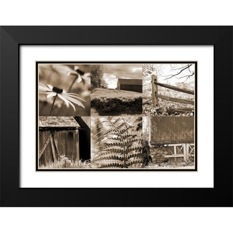 Roadside Beauty Black Modern Wood Framed Art Print with Double Matting by Amber Light Gallery